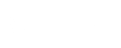 VIP Sprinter Van Los Angeles